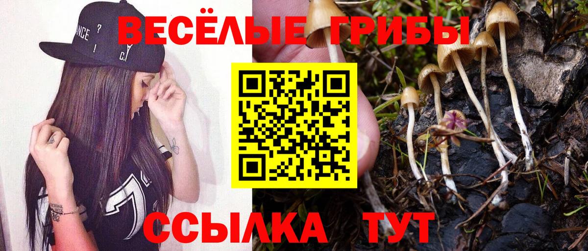 Псилоцибиновые грибы мухоморы Чайковский