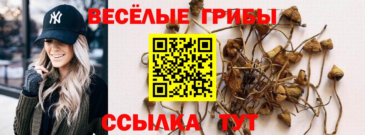 Чайковский  Галлюциногенные грибы мицелий  Вход с VPN 